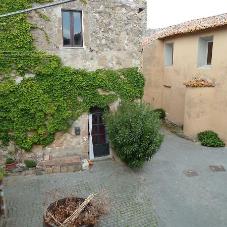 La Giuliva Di Pianiano Apartment Cellere Exterior photo