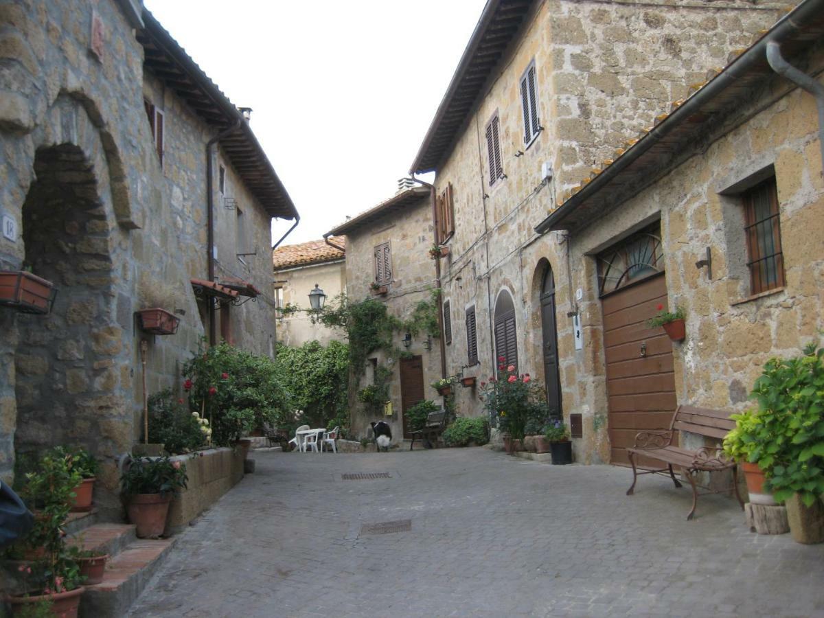 La Giuliva Di Pianiano Apartment Cellere Exterior photo